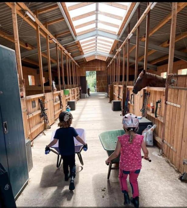 Ferienwohnung Beim Pferdehof Neuenstein  Eksteriør bilde