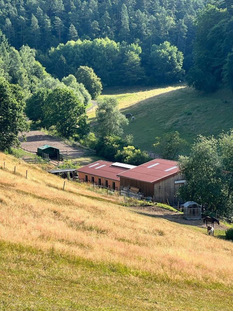 Ferienwohnung Beim Pferdehof Neuenstein  Eksteriør bilde