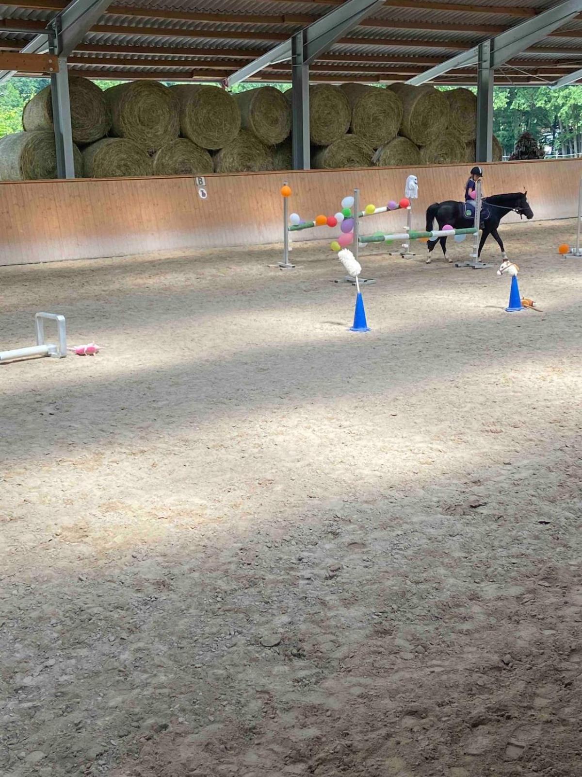 Ferienwohnung Beim Pferdehof Neuenstein  Eksteriør bilde